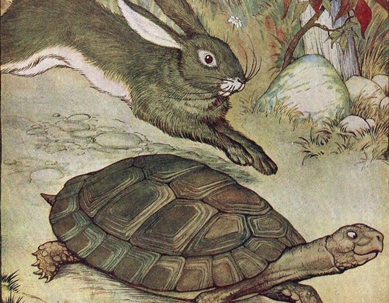 Haren och Sköldpaddan.